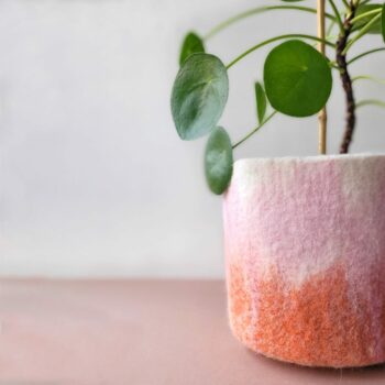 Cache pot Rosemary