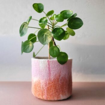 Cache pot Rosemary