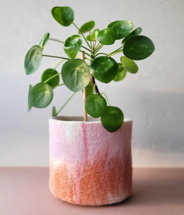 Cache pot Rosemary